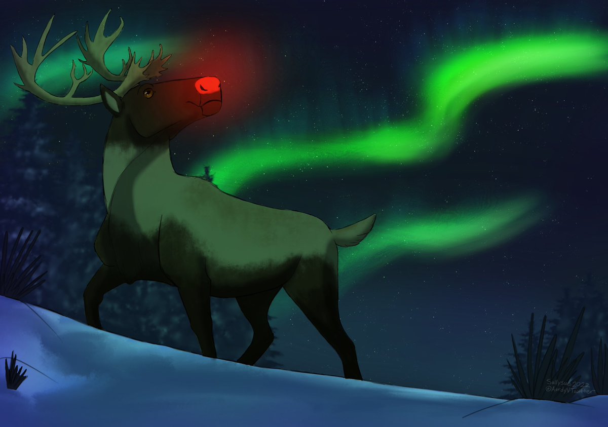 Rudolph shining his bright red nose at the aurora borealis. 
#rudolphtherednosedreindeer #auroraborealis #Christmas #caribou #northpole