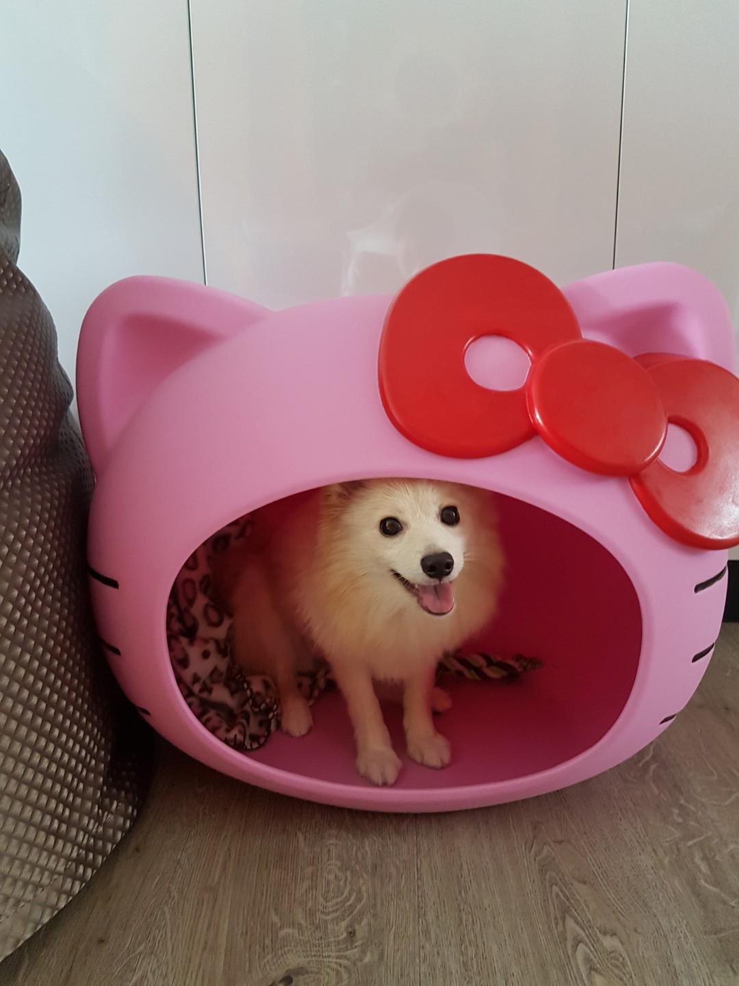 sanrio daily on X hello kitty pet bed https t Ub4jjJ1FDh X