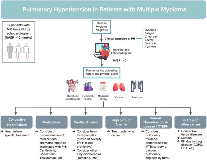 Jenny Yang (@jennyyangmd) on Twitter photo Multiple #myeloma pts are at risk for all 5 grps of pulmonary HTN. Remember to screen for #PH in all symptomatic pts! Congrats Tally Buckstaff on publishing this! Good luck with cards fellowship next year! <a href="/DrTimFernandes/">Timothy Fernandes, MD, MPH</a> <a href="/ucsdim/">UCSD Internal Medicine Residency</a> <a href="/ucsdpccm/">UCSD Pulmonary, Critical Care, Sleep, & Physiology</a> <a href="/UCSDCardFellows/">UC San Diego Cardiology Fellows</a> resmedjournal.com/article/S0954-… Multiple #myeloma pts are at risk for all 5 grps of pulmonary HTN. Remember to screen for #PH in all symptomatic pts! Congrats Tally Buckstaff on publishing this! Good luck with cards fellowship next year! <a href="/DrTimFernandes/">Timothy Fernandes, MD, MPH</a> <a href="/ucsdim/">UCSD Internal Medicine Residency</a> <a href="/ucsdpccm/">UCSD Pulmonary, Critical Care, Sleep, & Physiology</a> <a href="/UCSDCardFellows/">UC San Diego Cardiology Fellows</a> resmedjournal.com/article/S0954-…
