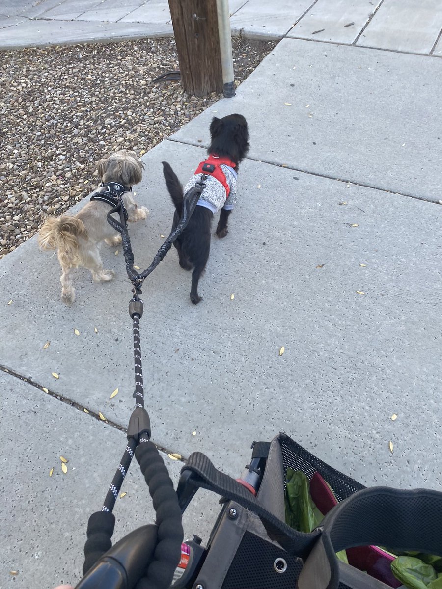 These boys walk me.