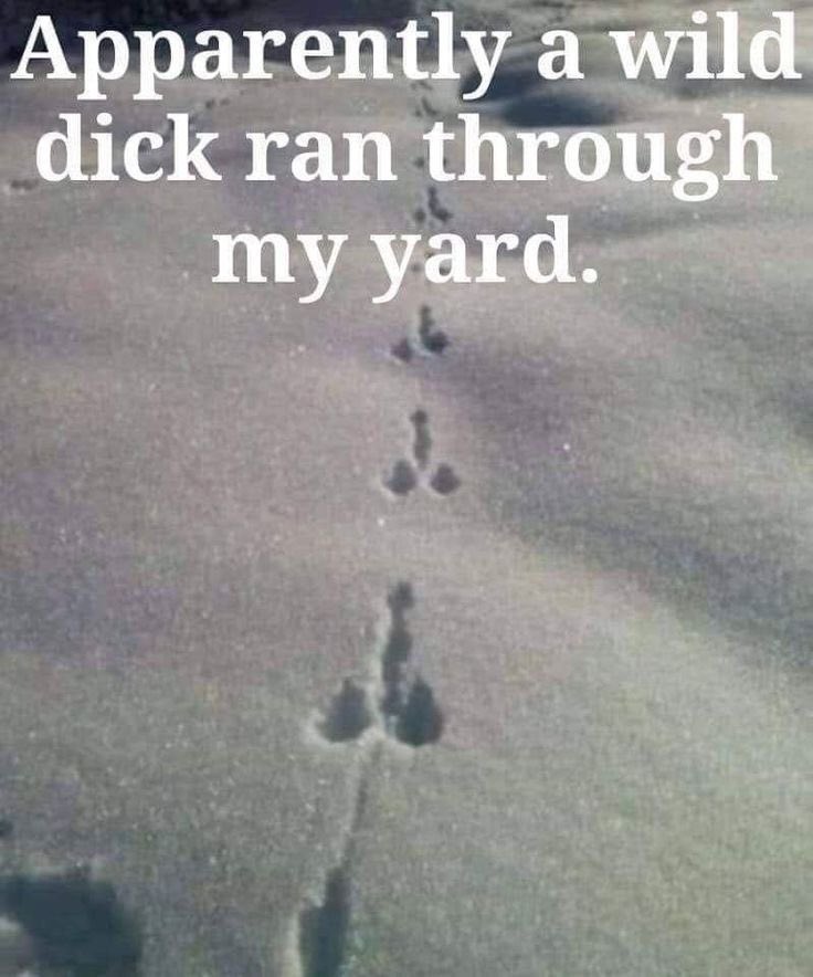 Gerri 🌻☮️ tweet media