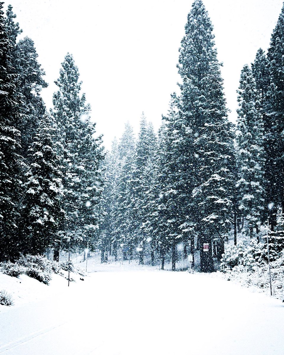 beeareayedee's tweet photo. Truckee, CA // IG: cypresscoastvisuals https://t.co/MMexmKxHb3