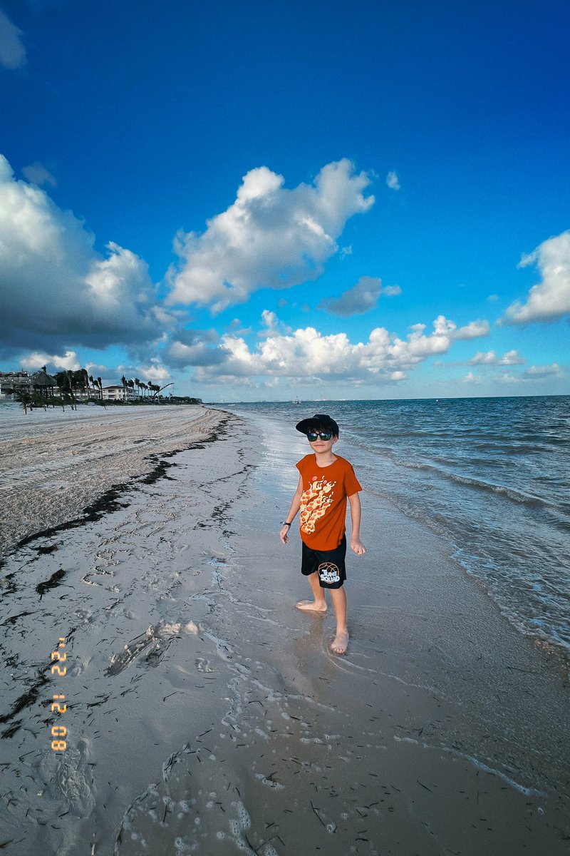 Andrew Phung tweet media
