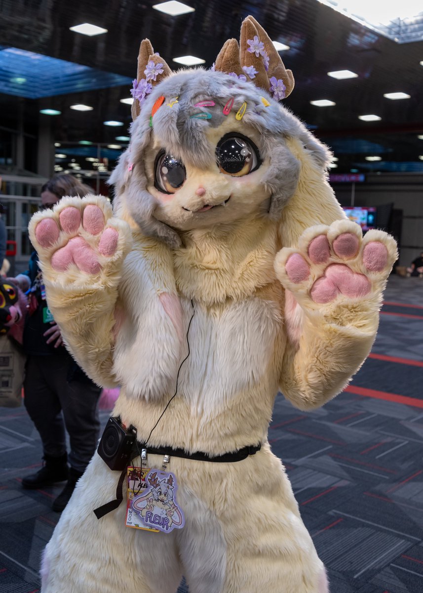 A photo of @Fleurfurr from #MFF2022 #Furfest