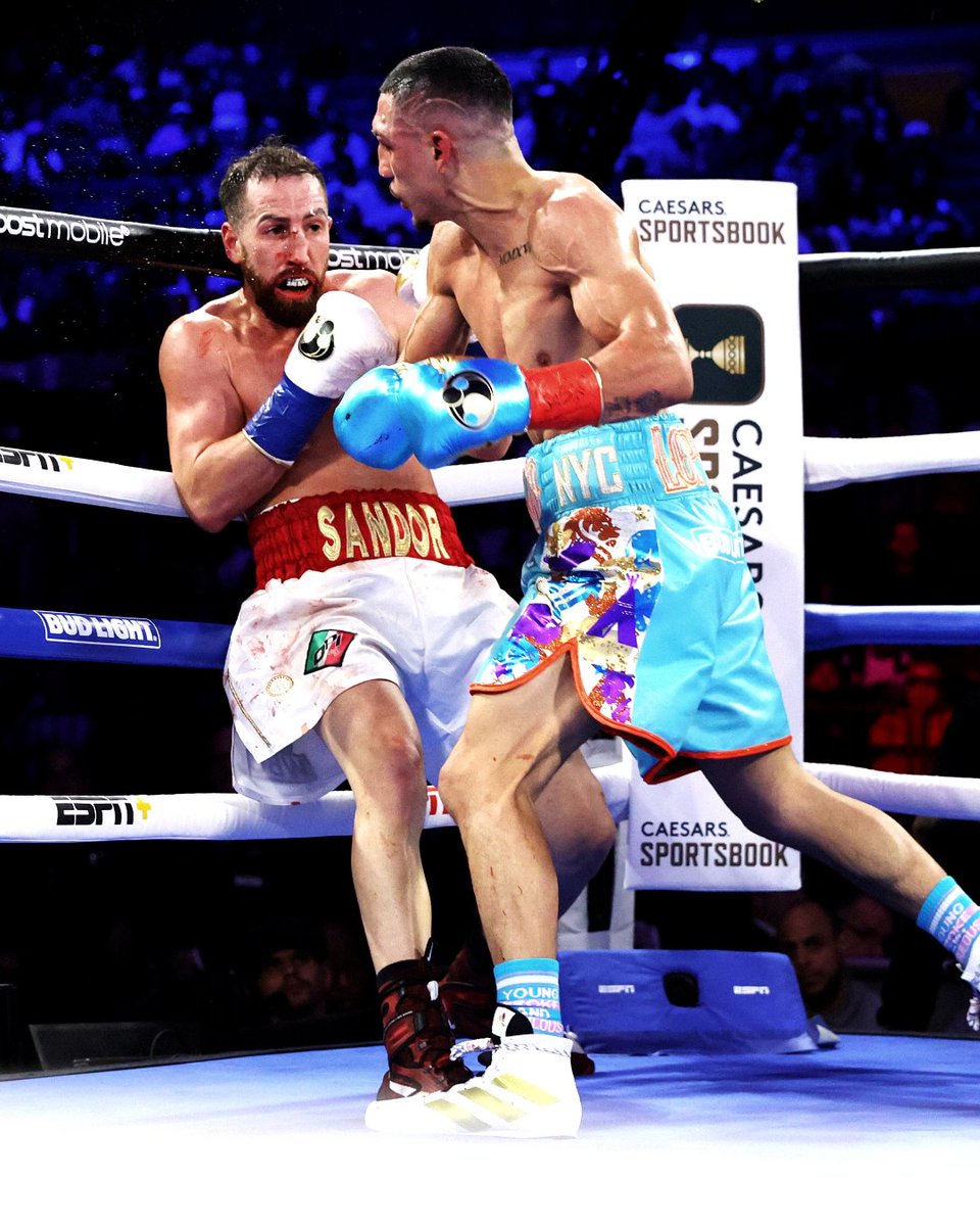 asics boxing shoes lomachenko