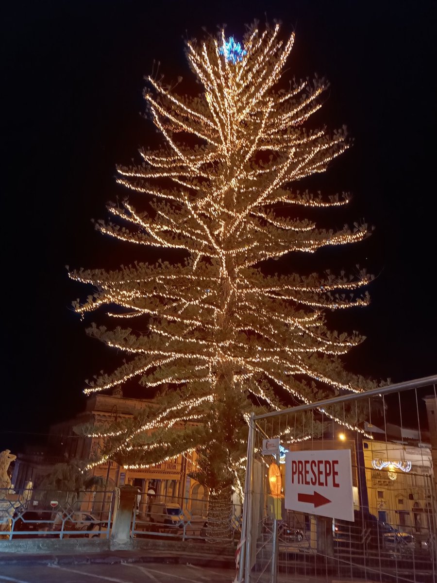 Il nostro albero netino