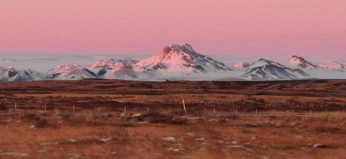 Mark Cousins tweet media