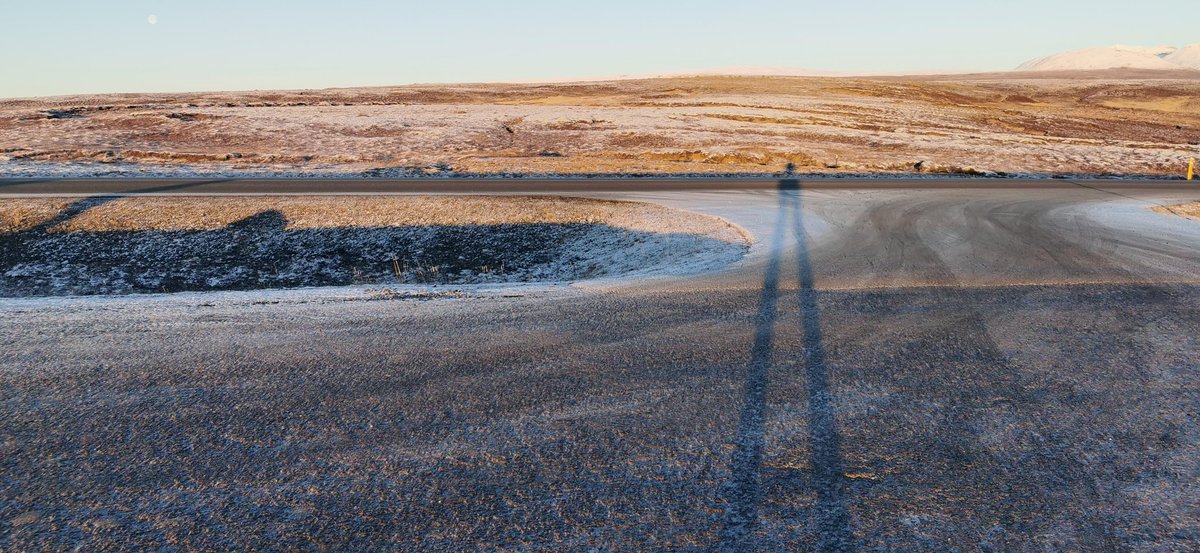 Mark Cousins tweet media