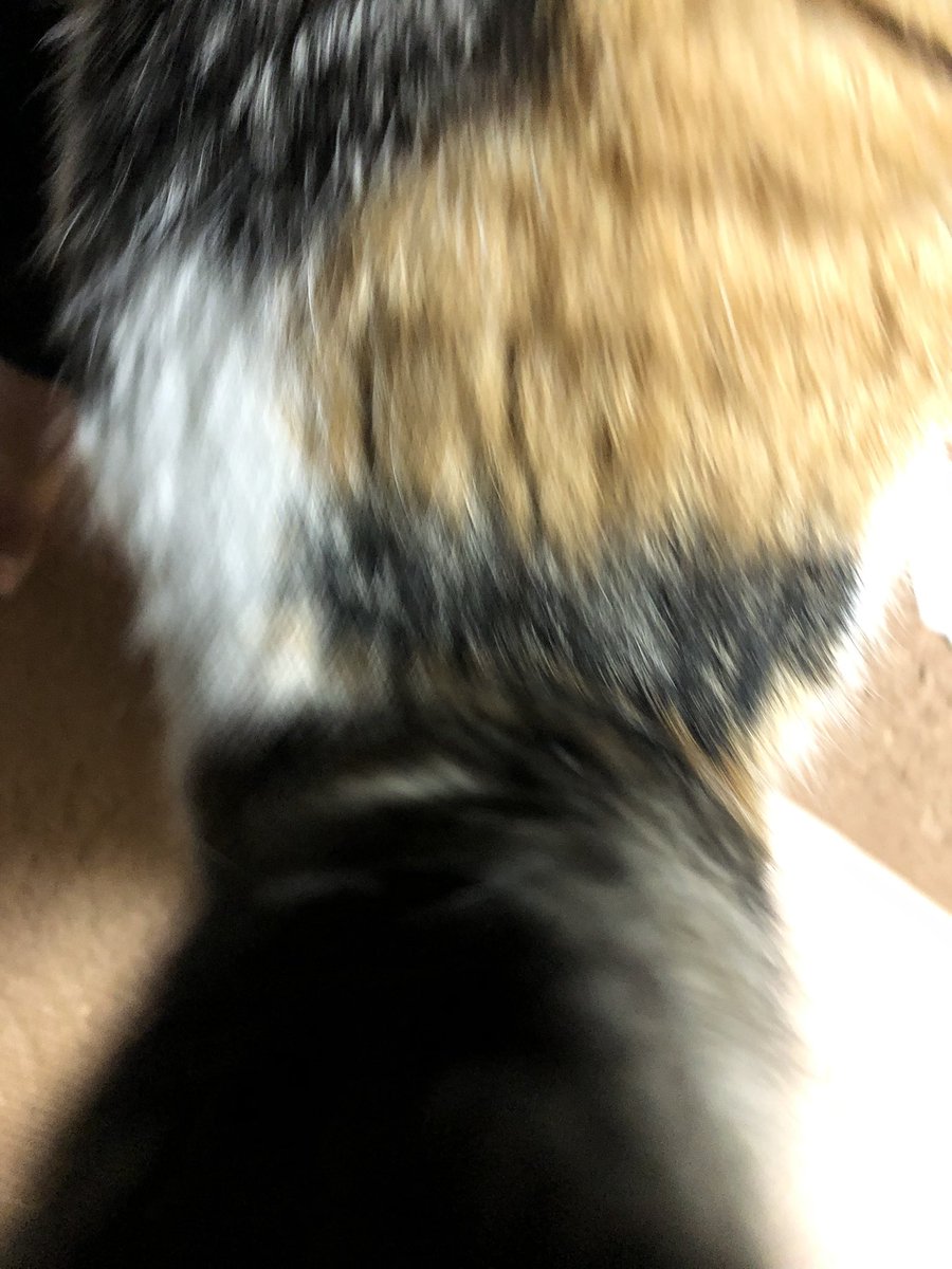 あベア 島根のジェイソン 50ae Twitter