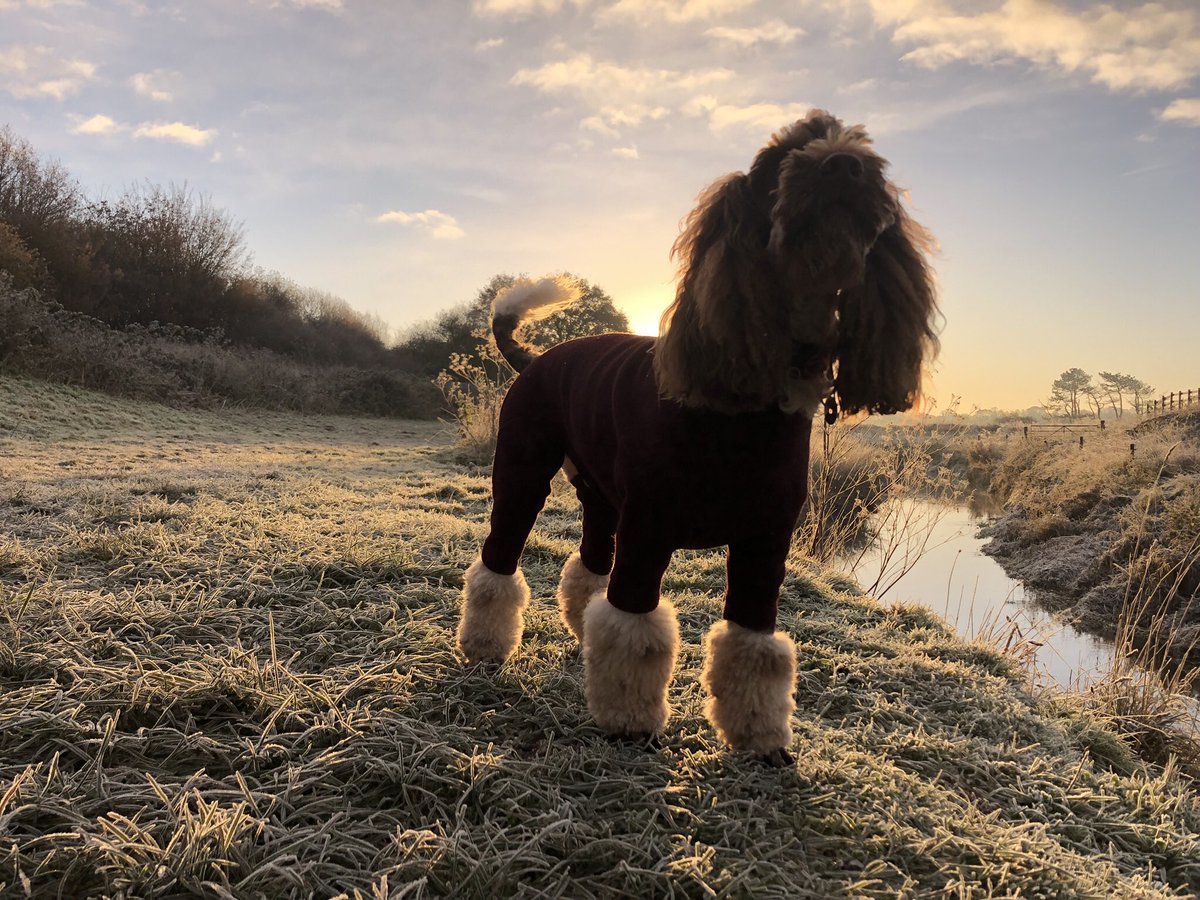 New snow boots. #AniAdventures #AprèsAni