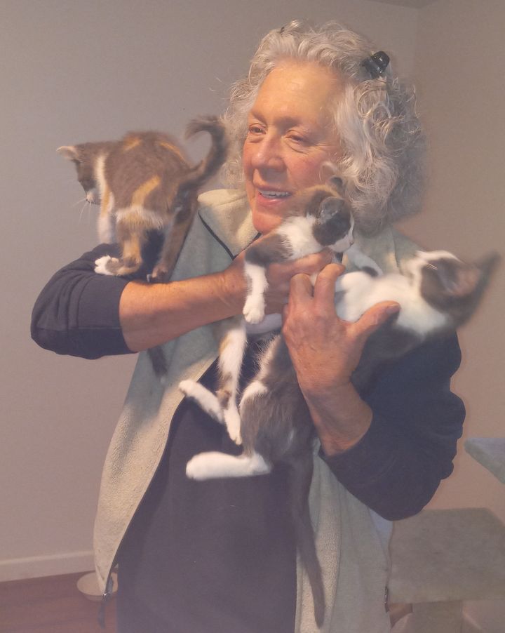 Sm_Twn_Com_Cats's tweet image. #Kitten wrangling at the Small Town Community Cats way station in Laramie. 7 in 2 #litters headed to our partner AFA in Fort Collins. Kevin transported kittens and took the pics. Put us on your Christmas giving list. Every $ helps us help the #cats.
smalltowncats.org/donate