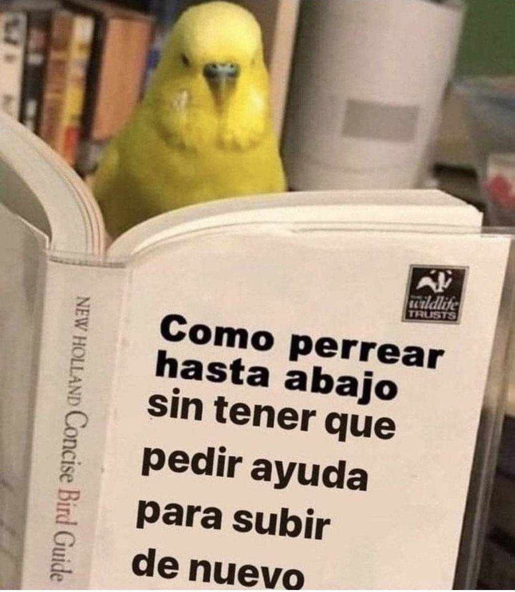 Guarromantico_'s tweet image. 