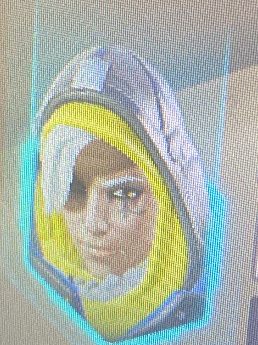 AllMikeishere tweet media