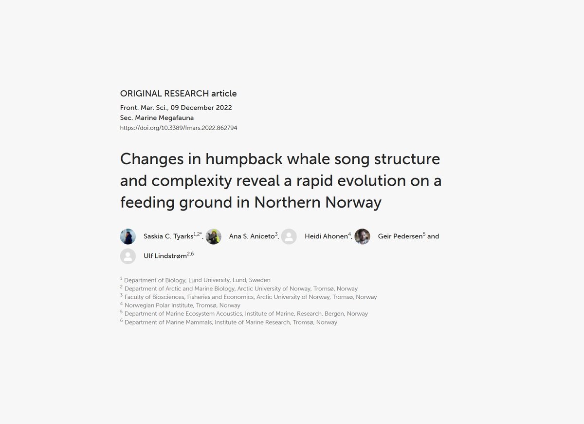 Saskia Cathrin Tyarks (Martin) tweet media