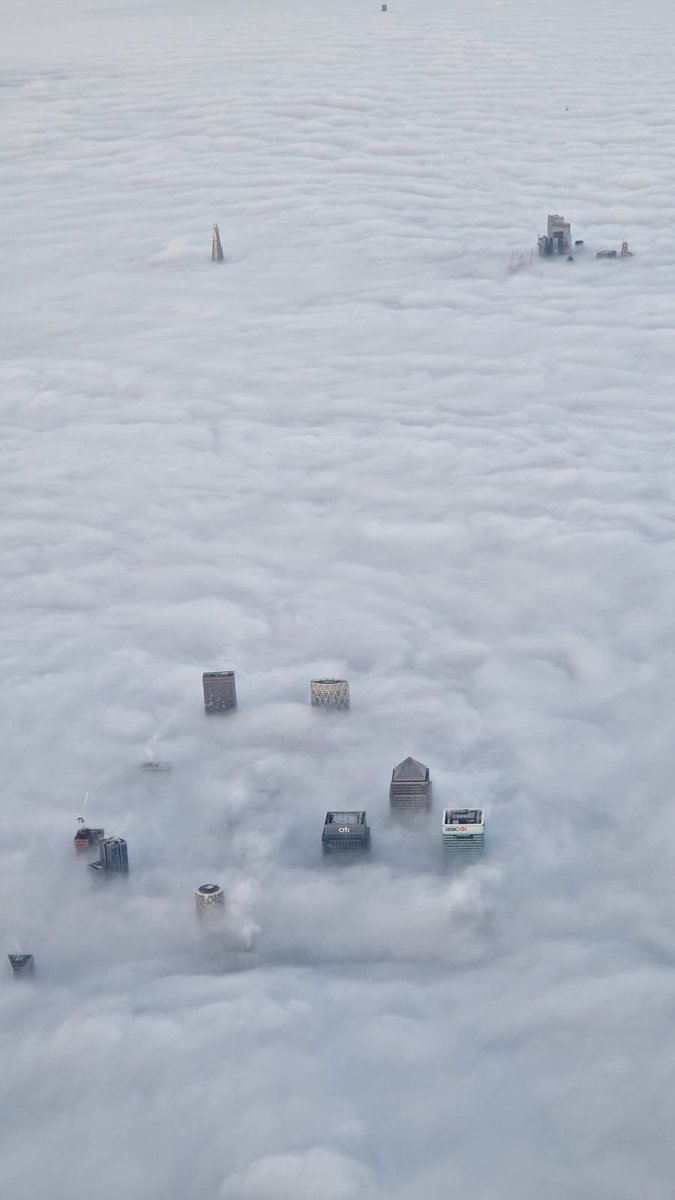 Matt Downie tweet media