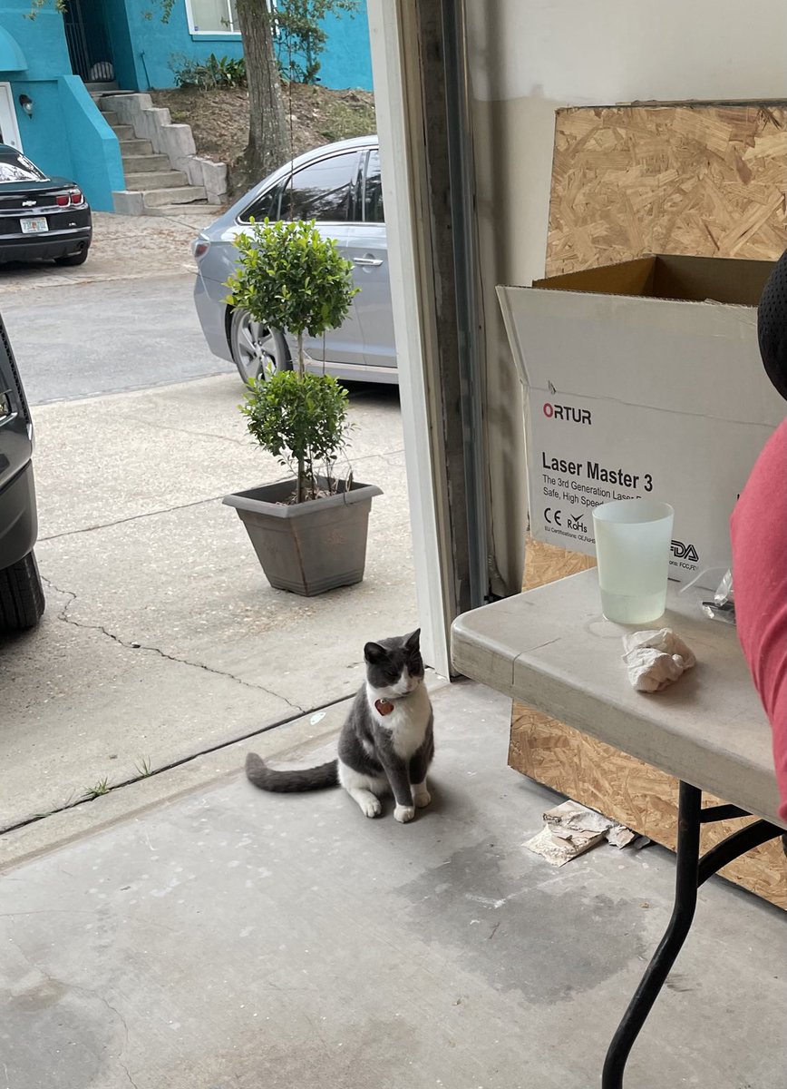 BrownieTurd's tweet photo. Mr Sprinkles is helping the hubby work. #SupervisorSprinkles #GetToWorkMeow #kittyturd https://t.co/gvCdPPnNDS