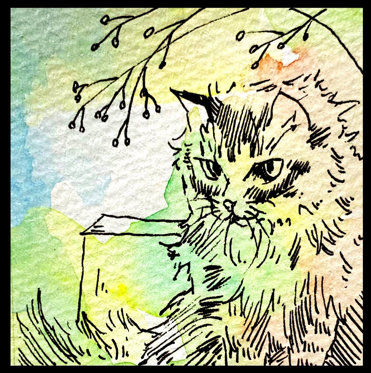先に水彩でランダムに彩色をしてから描いたものです。
#猫イラスト #絵描きさんとつながりたい #絵柄好みって人にフォローされたい 