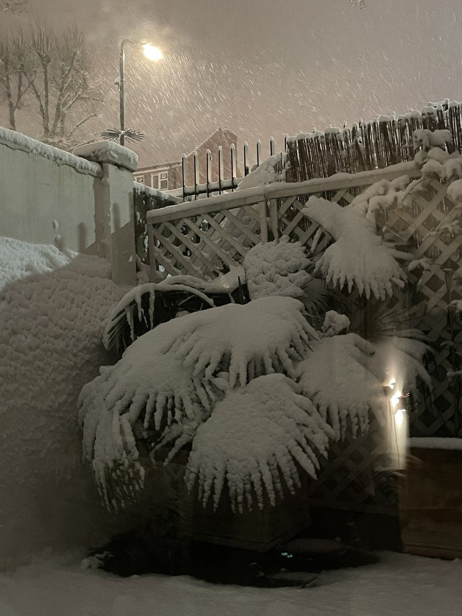 nellenagem tweet media