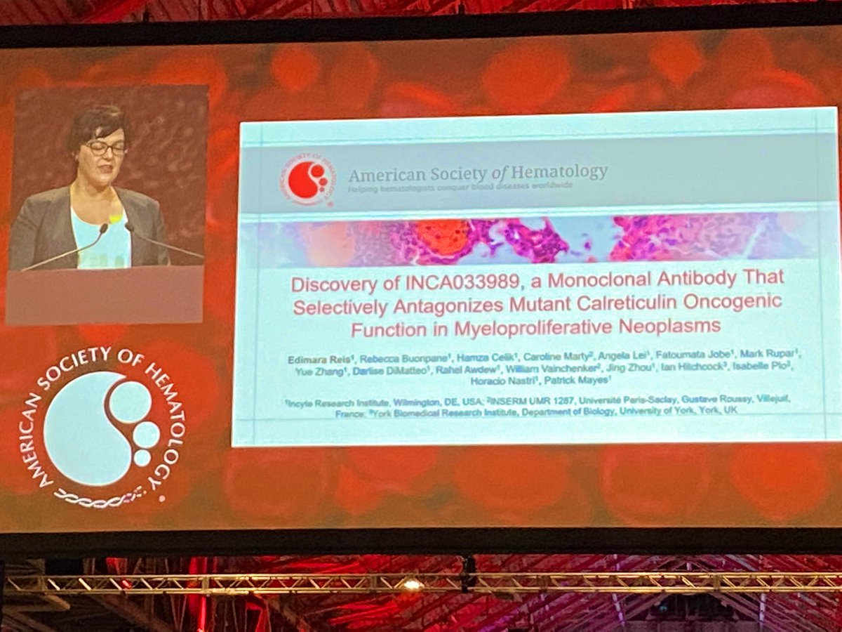 doctorpemm's tweet photo. #ASH22 #ASHPlenary Wow !!! Discovery of a #CALR mutant specific #mAb for #MPNSM !!!! 👏🏽 @beth_psaila @ASH_hematology https://t.co/84hkzjitoo