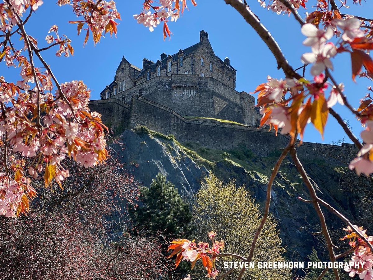 Edinburgh Black Cab Tours tweet media