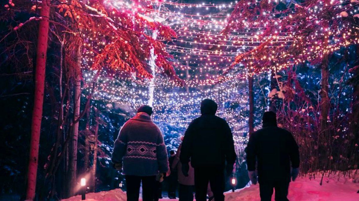 INFO Edmonton (formerly Where Edmonton) (@whereedmonton) on Twitter photo .<a href="/UABotanicGarden/">UofA Botanic Garden</a> is offering one-of-a-kind dining experiences this winter season! Have a delicious meal in one of their private heated dining domes and experience all the beauty of Luminaria after dinner! Book your experience now: bit.ly/3FiMzor
#yeg #yegevents .<a href="/UABotanicGarden/">UofA Botanic Garden</a> is offering one-of-a-kind dining experiences this winter season! Have a delicious meal in one of their private heated dining domes and experience all the beauty of Luminaria after dinner! Book your experience now: bit.ly/3FiMzor
#yeg #yegevents