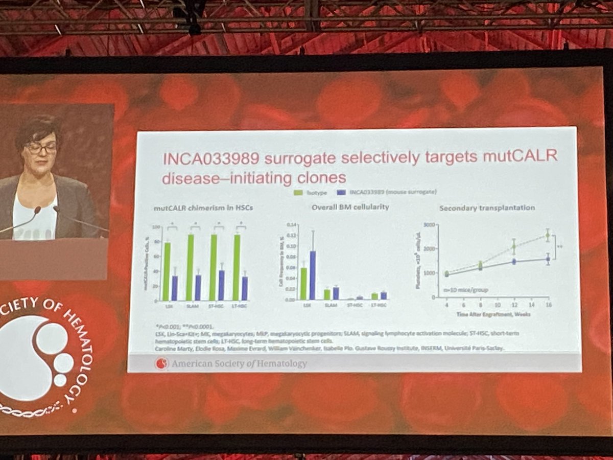 doctorpemm's tweet photo. #ASH22 | #ASHPlenary Dr Reis Notable talk. Major discovery. First #CALR-mutant specific #mAb !!!!!@ASH_hematology https://t.co/jW3Vd7wk20