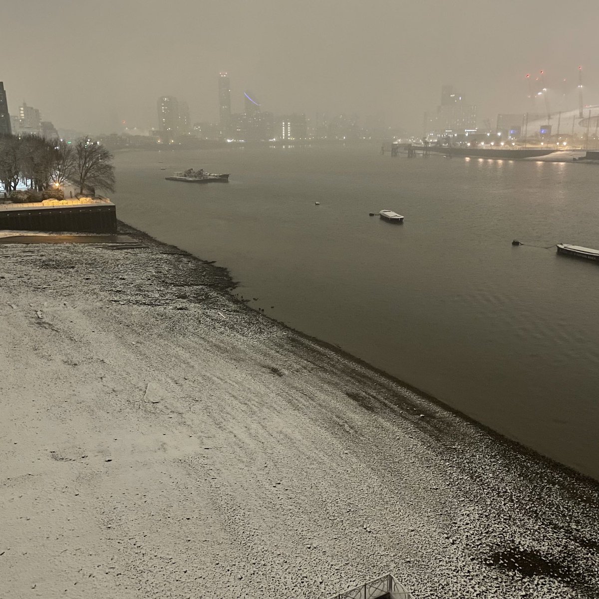 Zoë Chan tweet media