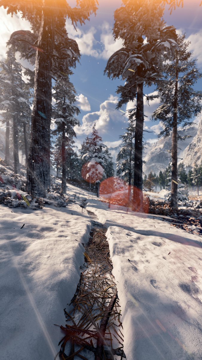 Joyrider2525's tweet photo. #VPwinter #TPMwinter
#HorizonForbiddenWest #BeyondTheHorizon https://t.co/cEJqGY9Ggw