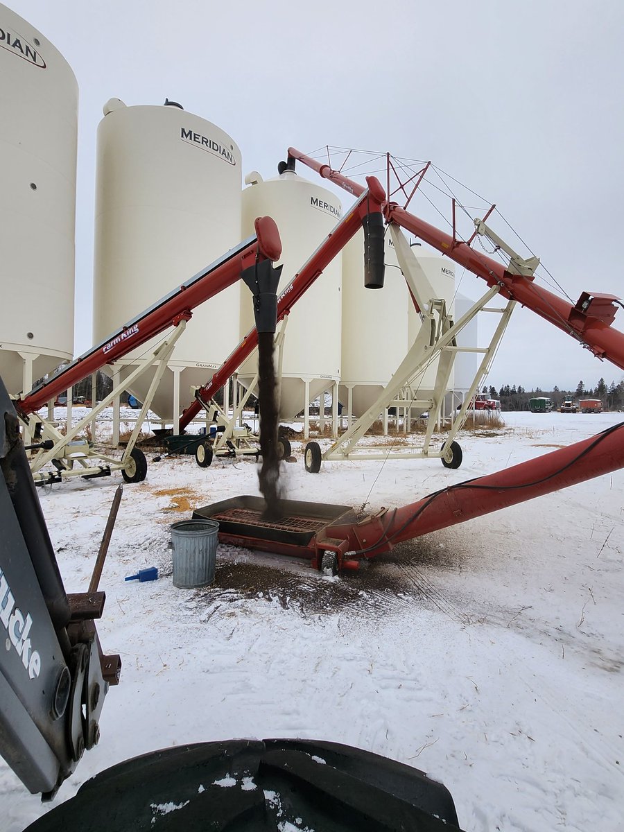 It's like winning the lottery  when you don't need a truck in between  the augers!