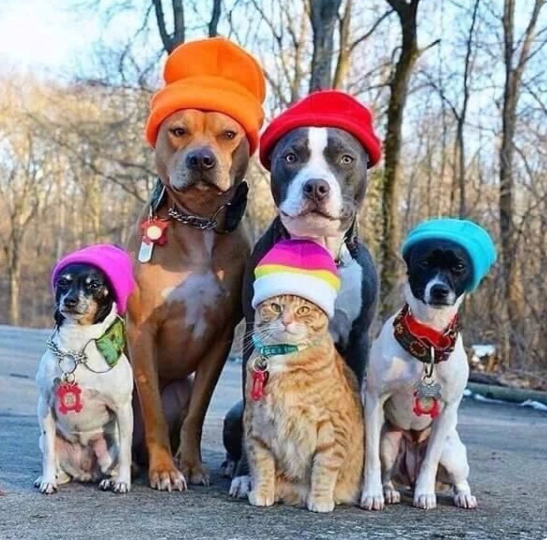 Blood makes you related. Loyalty makes you family.