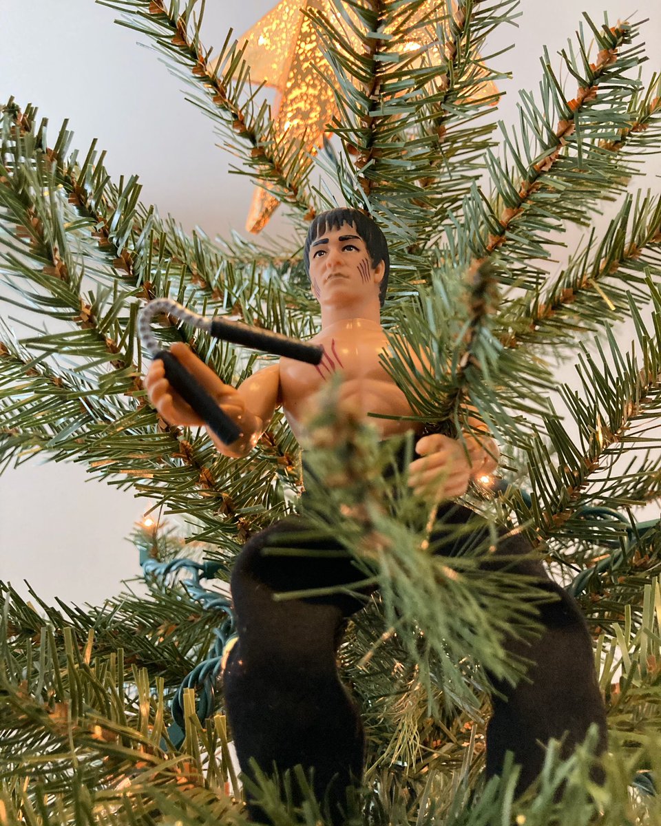 angryasianman's tweet image. It’s that time again. Some people celebrate the season with “Elf on the Shelf.” Our household observes the tradition of “Bruce on the Spruce,” also known as “Lee on the Tree.” Be good children. Bruce is watching.