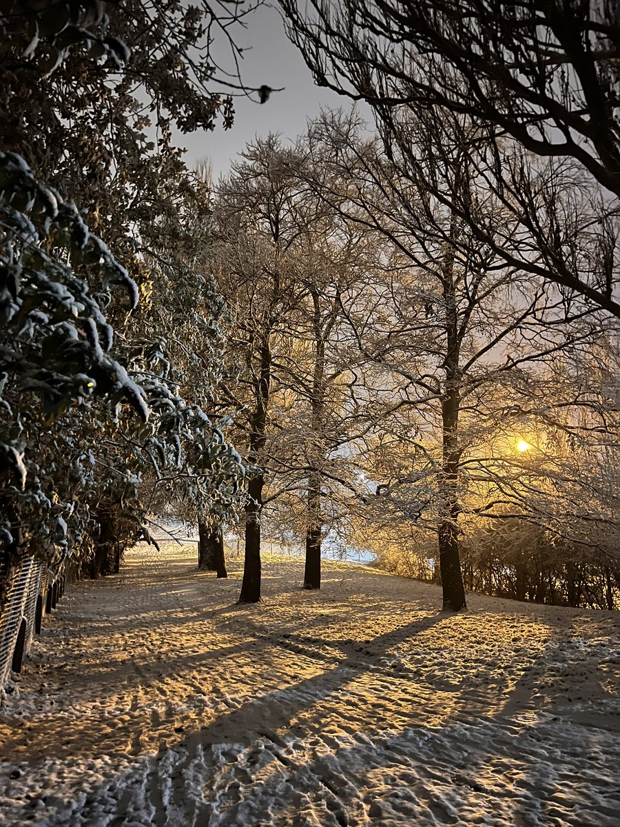 MarkOBrienEsq's tweet photo. Bit cold for the dinosaurs at Crystal Palace Park. #uksnow https://t.co/gshsTY6cQA