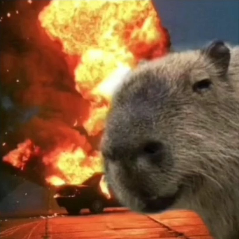 Malamdg's tweet photo. Capibara + arson = ♥️ https://t.co/xvvUIk8BSu
