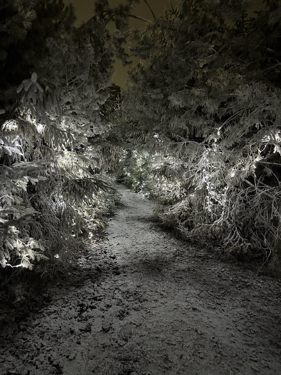 Rhys Barratt tweet media