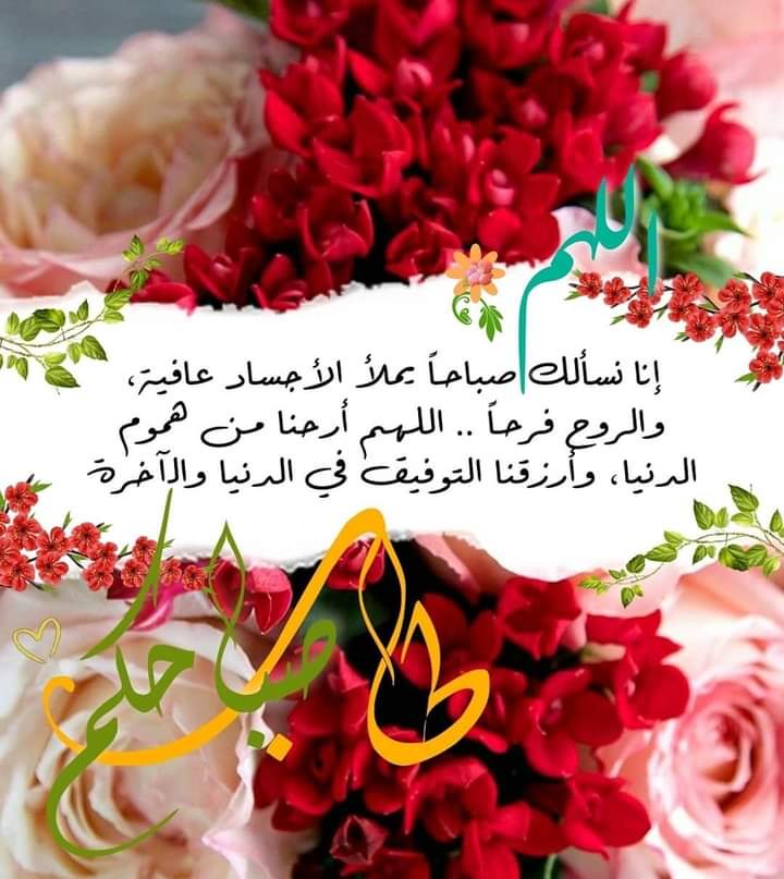 Hossam7237's tweet photo. ...

  اللهم يامقلّب القلوب ثبّت قلوبنا على دينك
واجعلنا  من الذاكرين الشاكرين 
اللهم استرنا بسترك الحصين 
وإعصمنا بحبلك المتين 
واجعلنا ممن لاذ بك فأجرته وفر إليك فقبلته وخاف منك فأمنته وإستغفرك فقبلته وتوكل عليك فكفيته وسألك فأعطيته 
    يااااااارب ❤️

     صباح الورد 💫🌻

... https://t.co/o7x4UGswr9