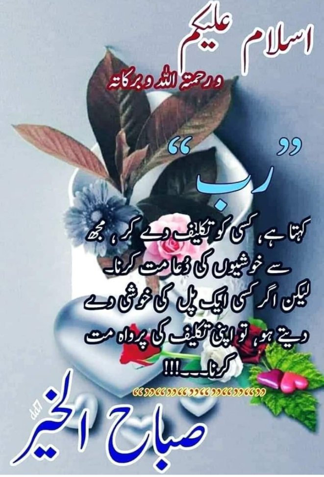 Malik Asif (@malikas36053513) on Twitter photo 