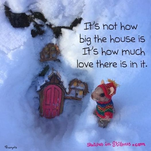 Cody Tower (@codyeliastower) on Twitter photo 