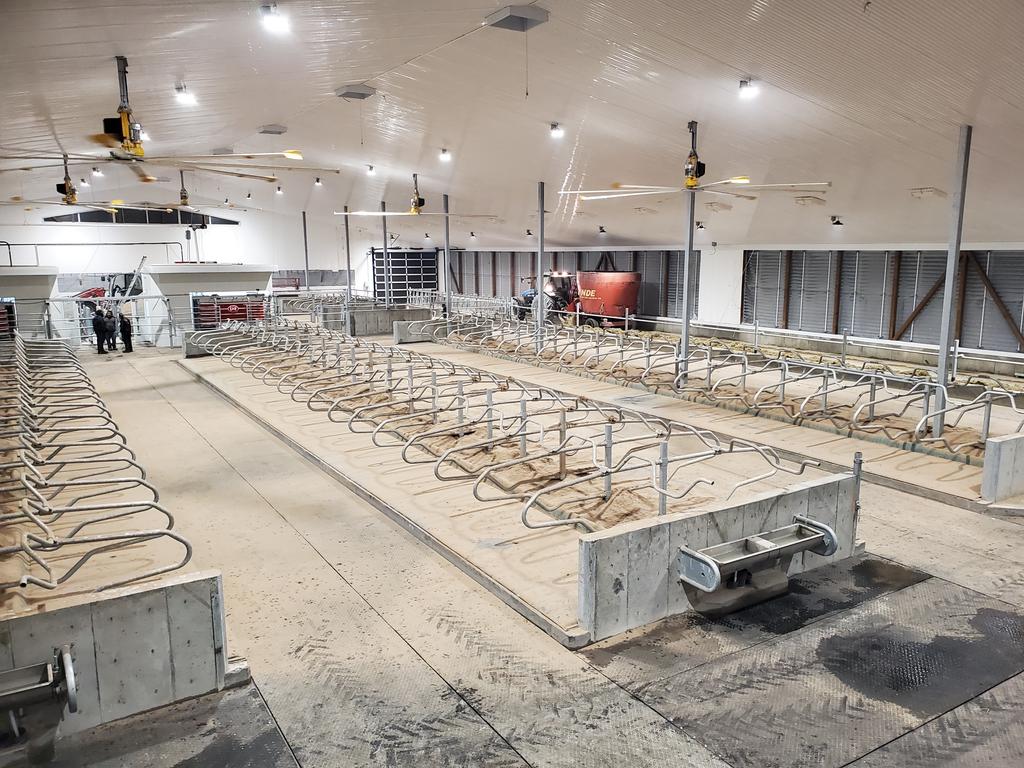 Adrian Struyk tweet media