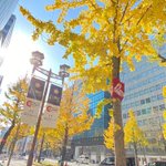 ツイートに含まれる画像