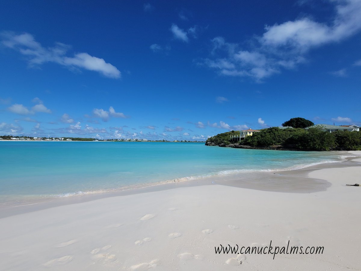 CanuckPalms's tweet photo. "To escape and sit quietly on the beach — that’s my idea of paradise." — Emilia Wickstead
https://t.co/KKqEyXuSUk 
#exuma #topbeaches #bahamas #greatexuma #islands #vacation #tropical #travel #bestbeaches #itsbetterinthebahamas #relax #travelgram #travelgoals #explore #igtravel https://t.co/lYpjTCKM8V