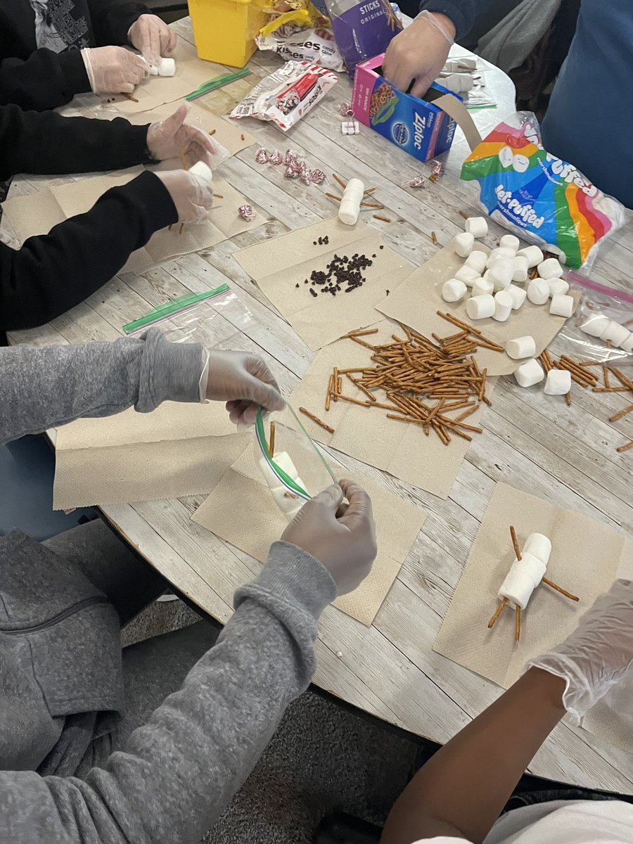 Homad's 5th Grade Hive (@homad_hive) on Twitter photo Glimpses of our past week: argument writing, international student speaker, field trip and preparing for ACE Market Day. We are loving every crazy minute of this season ❄️🤍⛄️ <a href="/ACELBNE/">The Academy for Civic Engagement</a> Glimpses of our past week: argument writing, international student speaker, field trip and preparing for ACE Market Day. We are loving every crazy minute of this season ❄️🤍⛄️ <a href="/ACELBNE/">The Academy for Civic Engagement</a>