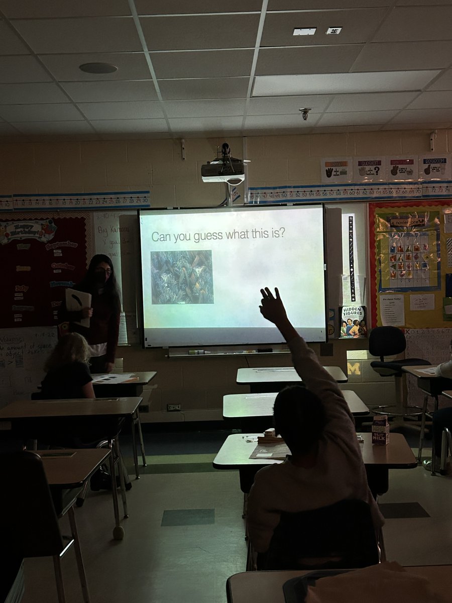 SeekUofm's tweet photo. Some highlights from our November Curriculum Days at Erickson and Estabrook! We had an awesome time learning about forces & motion through balloon-powered car races #SEEKit https://t.co/mtwSGy8BqY