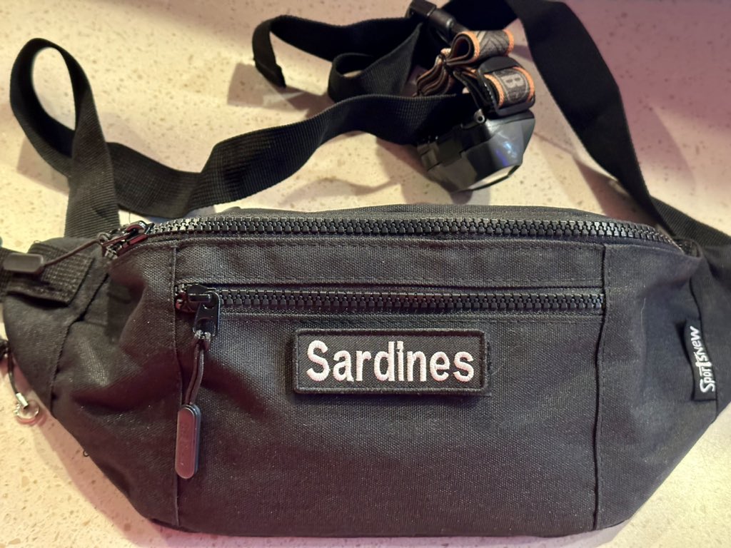 What's in the fanny pack!?  

#sardines #sardineeater #sardinefiend #fannypack #patch #explore #adventure #fyp #bag #hippack #mouthfullofsardines