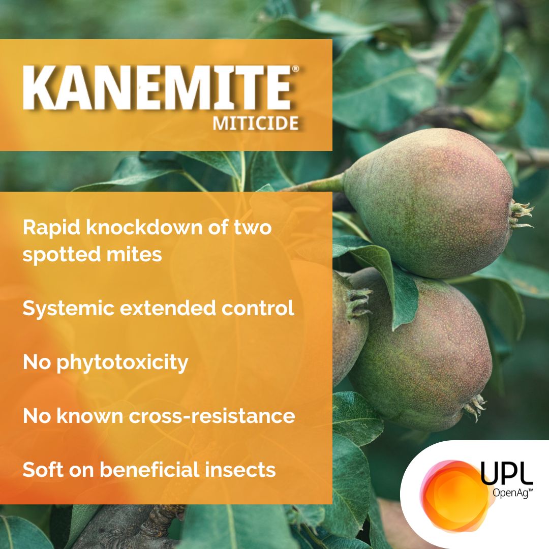 UPLAUSLtd's tweet photo. 🍎 #Pomefruit growers your #apples & #pears need an ally to protect them from #twospottedmite damage. #Kanemite® #miticide provides knockdown & systemic control. #IPM approved, soft on beneficial insects & no known resistance 🍐
Learn more 👉 https://t.co/NWBA7EETtA https://t.co/x5acZN3RYT