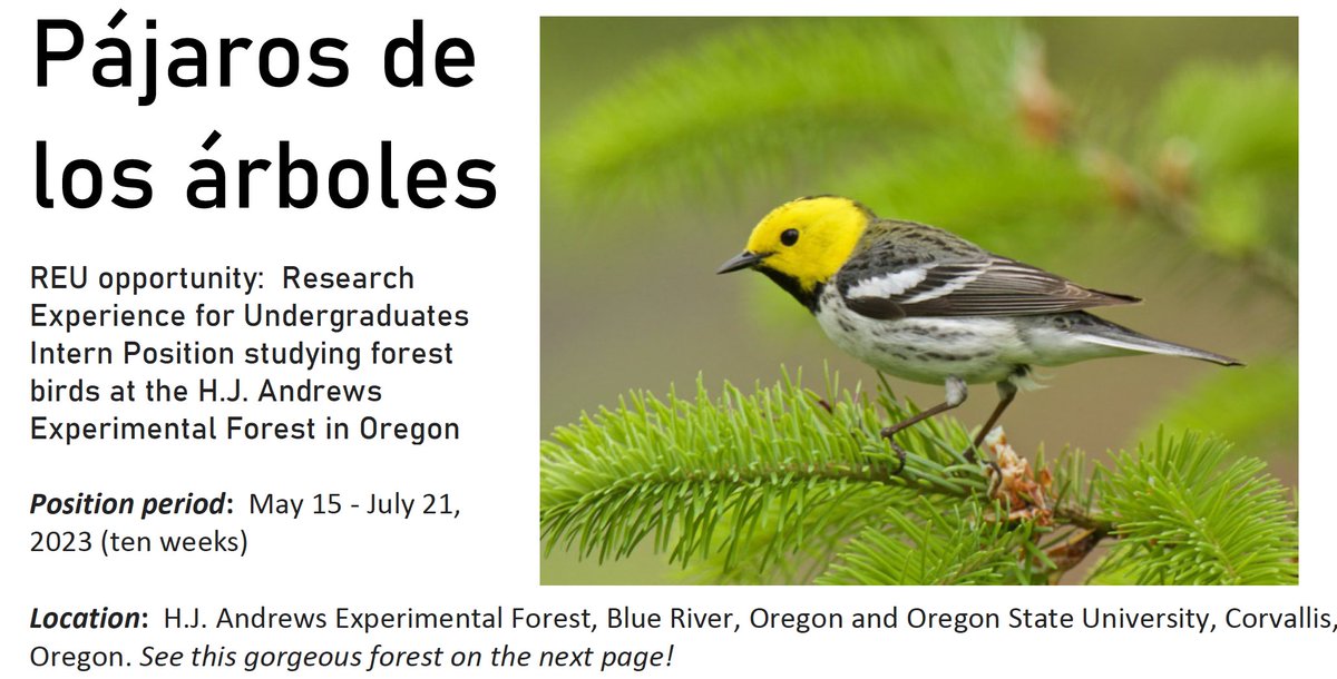 Opportunity for an undergrad to work with me and Dr. Matt Johnson (Cal Poly Humboldt) & @taaltree @HJA_Live on food webs in forest birds in relation to microclimate (using DNA barcoding). Underrepresented minorities are especially encouraged to apply. Applications to Dr. Johnson