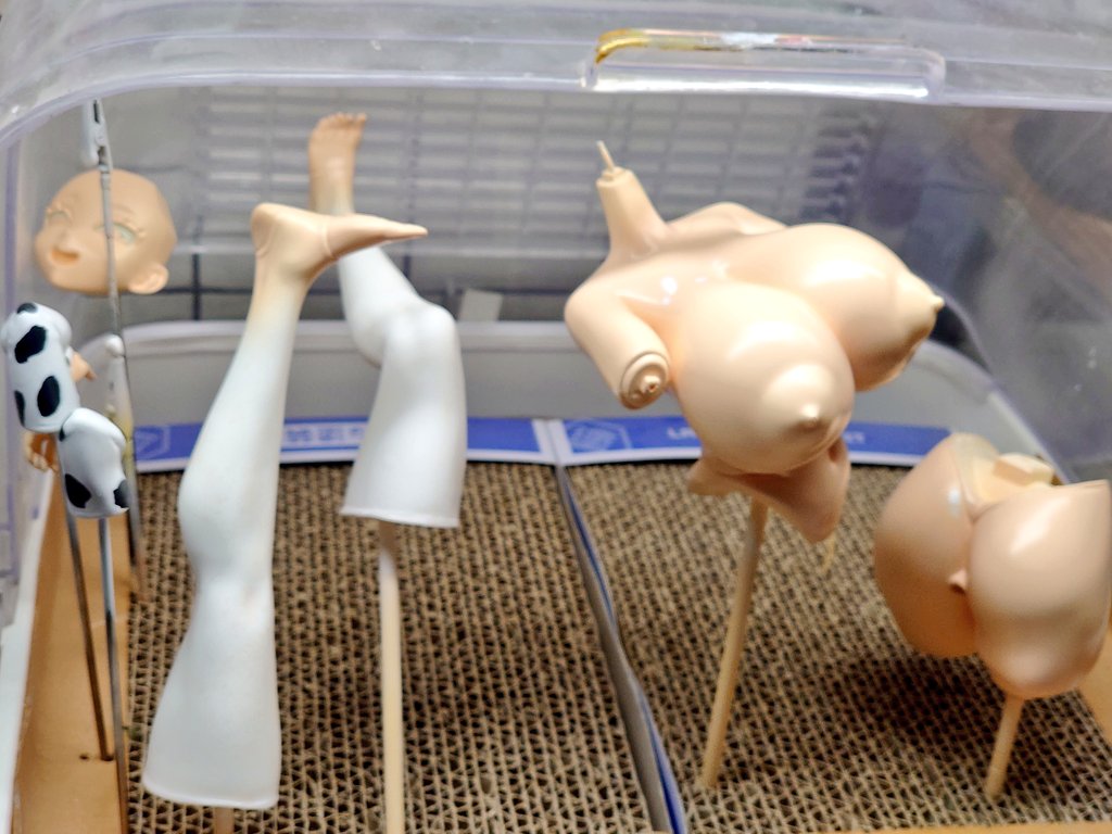 examlue's tweet photo. 宇崎母娘ホルスタイン水着
宇崎ちゃん製作中その4

肌色塗ってみたが、まだ気泡穴が。
サフ埋め、ヤスリ処理して塗り直し。 https://t.co/d9KYTtAEuB