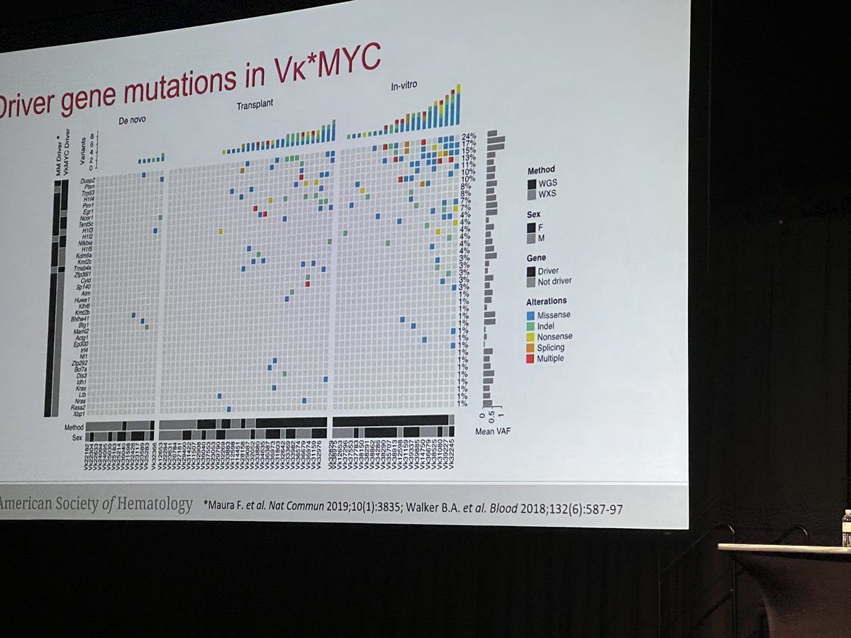 The VkMyc mouse model recapitulates the transition of SMM to MM the gift that keeps on giving to MM. ⁦<a href="/DrOlaLandgren/">C. Ola Landgren, M.D.</a>⁩ ⁦<a href="/FrancescoMaura4/">Francesco Maura</a>⁩ ⁦<a href="/Leif_Bergsagel/">Leif Bergsagel</a>⁩