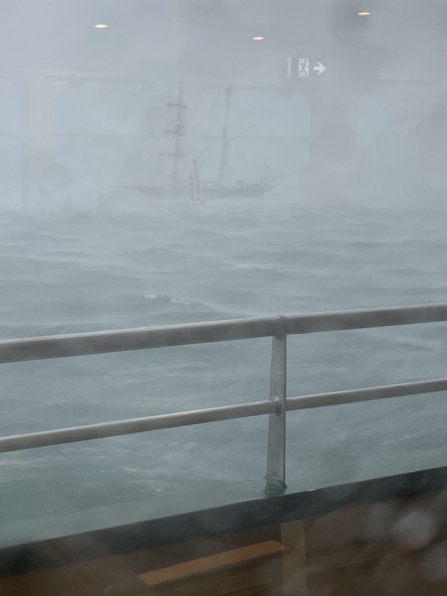 Ghostly vessels in the #fog on #SydneyHarbour taken from #ManlyFerry