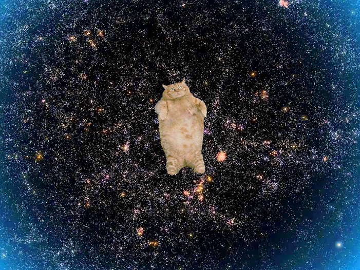 adetheus's tweet photo. 2,6 x 10^28 %. 150e fav. 
Pour nous, l'aventure de la chatte à DD s'arrête ici : avec ses 19 Mds d'années-lumière, elle dépassera au prochain tweet les bornes de l'univers observable.
Bon voyage, petite chatte, merci pour tout ! https://t.co/7n49eUQ78I