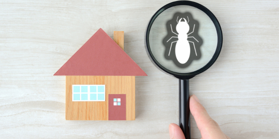 HomeTeamPestDefense tweet media